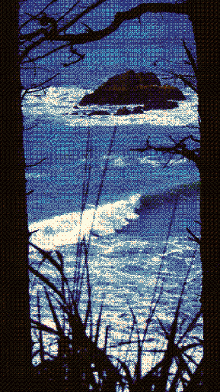 Water resources in the park