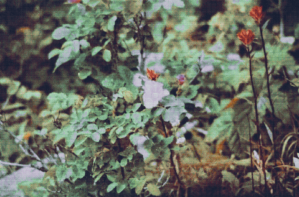 Boardwalk and marsh flowers