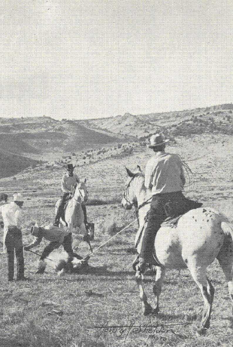 Vintage group of cattle ranchers working the park