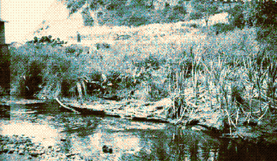 Landscape near Deer's Flats